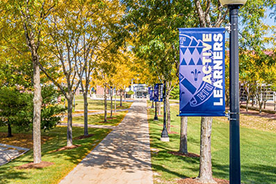 Photo of a pathway on campus. Link to What to Give. what.jpg