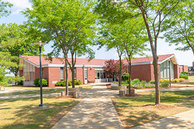 Photo of a statue. Link to Life Stage Gift Planner Over Age 70 Situations.